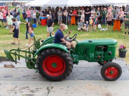 ws 308